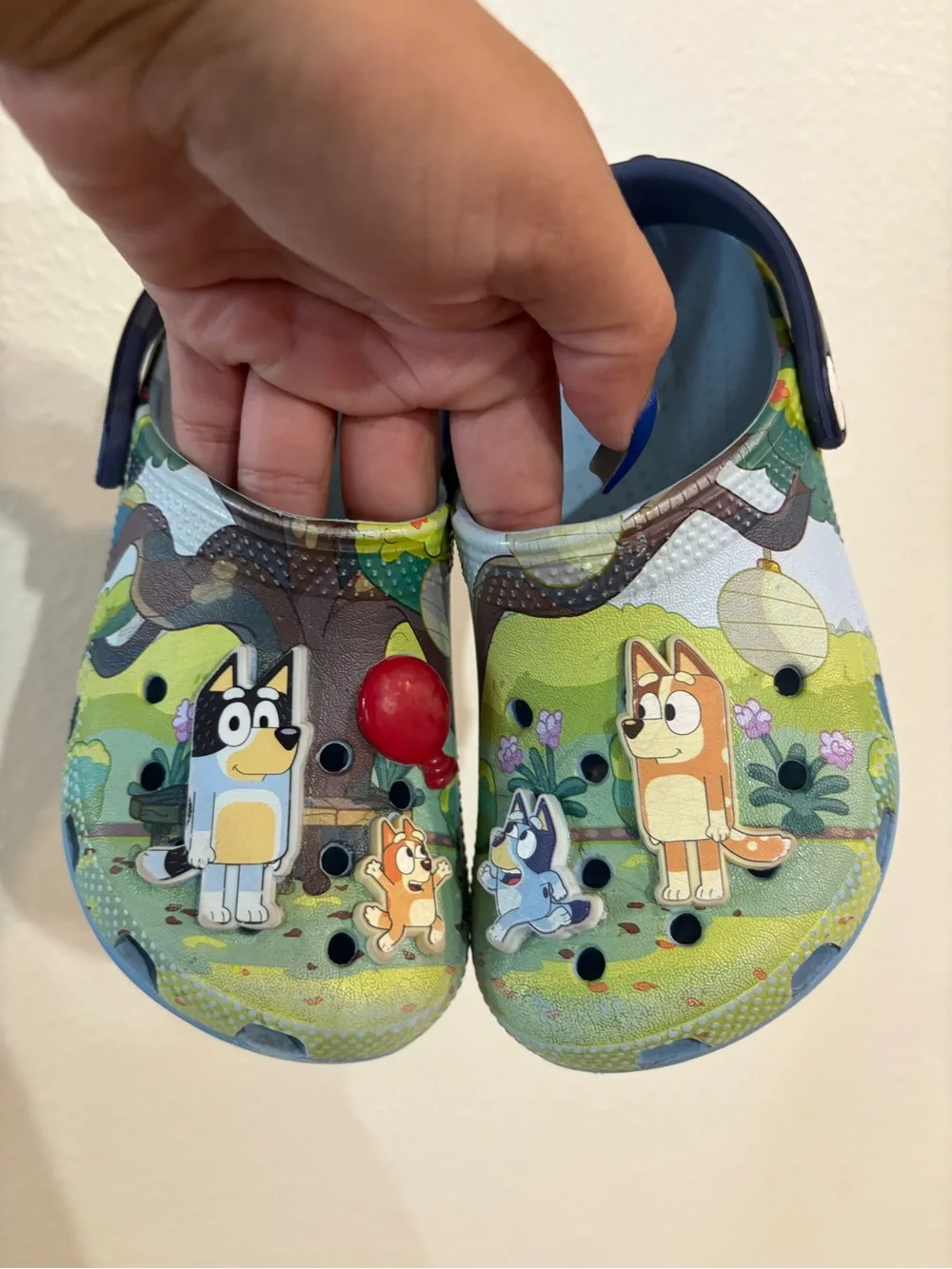 CROCS Kids Cartoon Clogs in Blue and Green